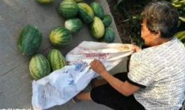 临海吃瓜最新事件爆料,揭秘背后惊人真相