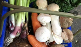 临海吃瓜最新事件爆料,揭秘背后惊人真相